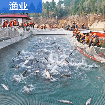 30吨片冰机(图4)