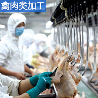 30吨片冰机(图5)